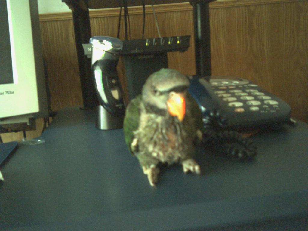 20050724142127_1123289910.jpg