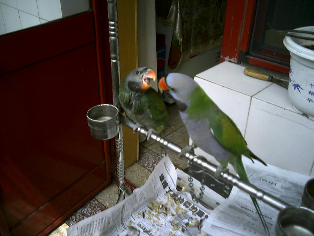 20050806113130_1123336878.jpg