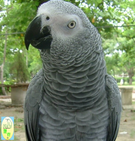 3247_1117730664.jpg