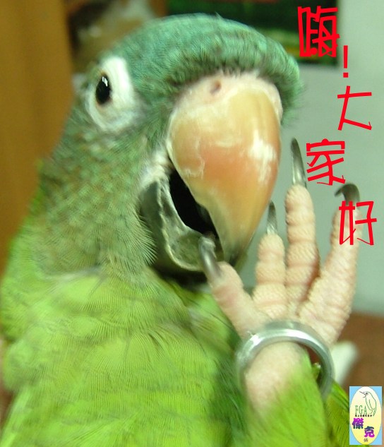 3287_1118771530.jpg