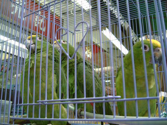 15_1118902245.jpg