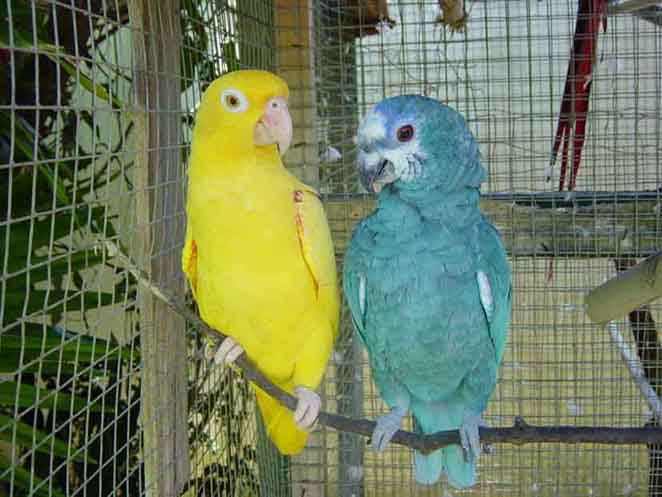 amazon20mutation_1121832010.jpg