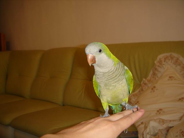 B5F7D5FBB4F3D0A1_1122865650.jpg