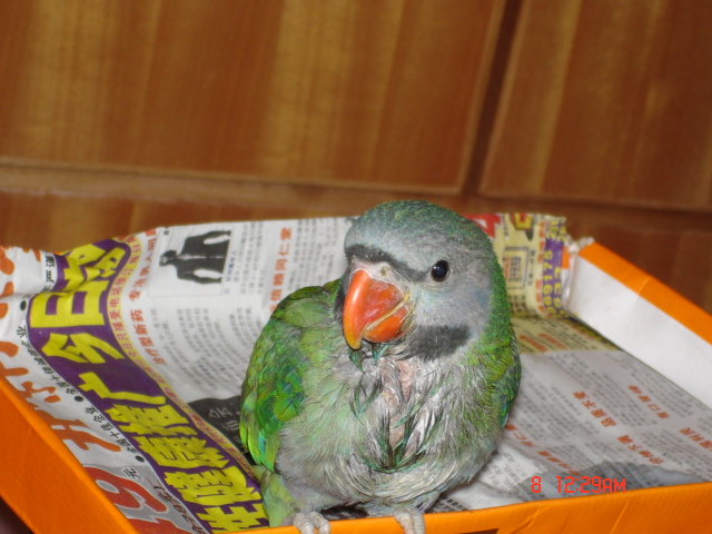 DSC00831_1120996247.jpg