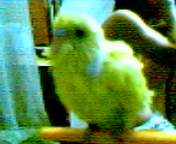 7893_1122564155.jpg