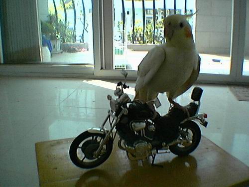 00005_1126961942.jpg