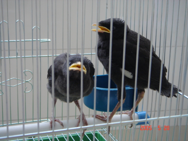 DSC03515_1117294559.jpg