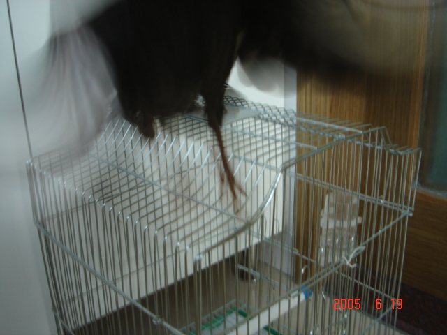 DSC04139_1119148958.jpg