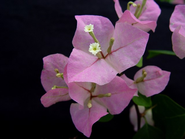 8_1113637516.jpg