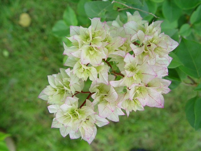 A_1113637592.jpg