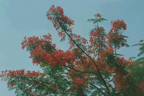 B7EFBBCBC4BE_1107156110.gif