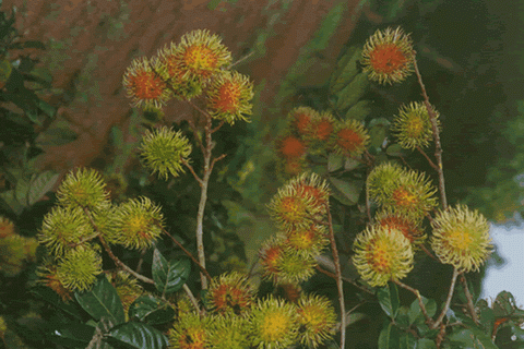 BAECC3ABB5A4_1107156171.gif