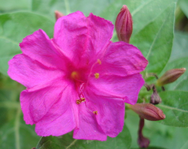 DSC01746_1121352057.jpg