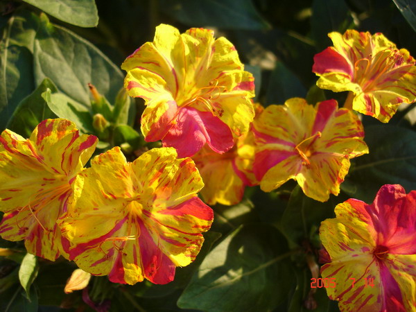 DSC01760_1121351959.jpg