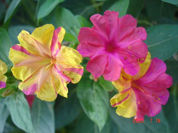 DSC01770_1121352517.jpg