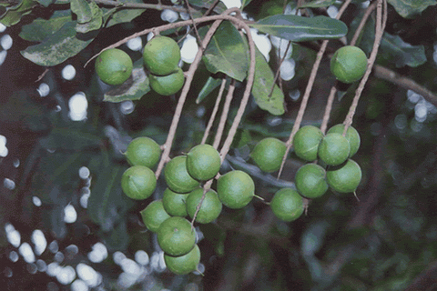 F3B2F2E0BED5_1107156502.gif
