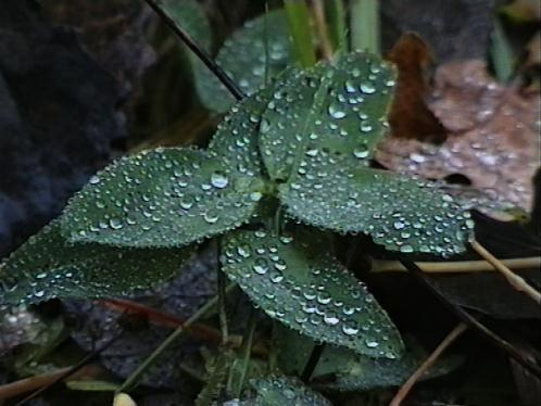 263575_1103723365.jpg