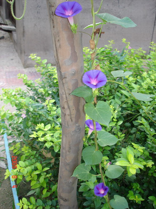 DSC01889_1123248618.jpg