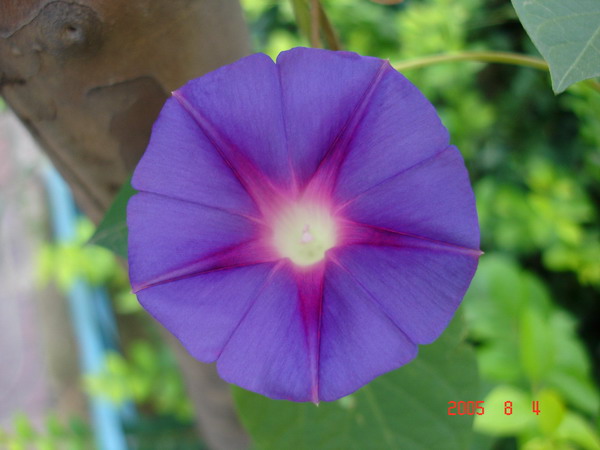 DSC01893_1123248635.jpg