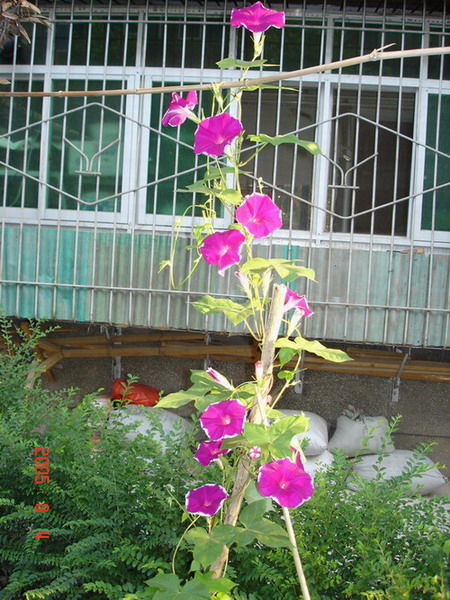DSC01898_1123248539.jpg
