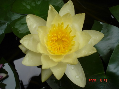 DSC02089_1125499228.jpg