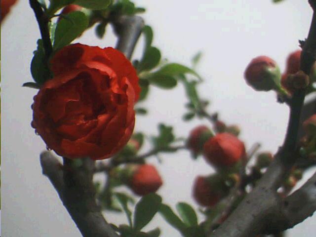 12_1111758032.jpg