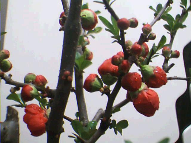 14_1111758429.jpg