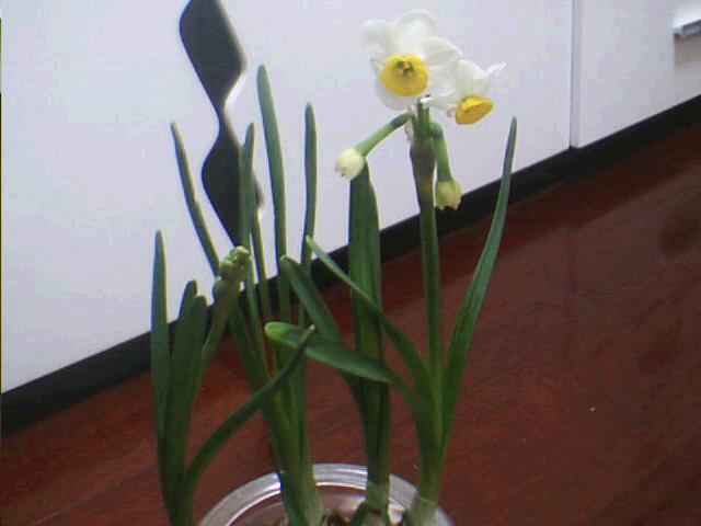 2_1106457227.jpg