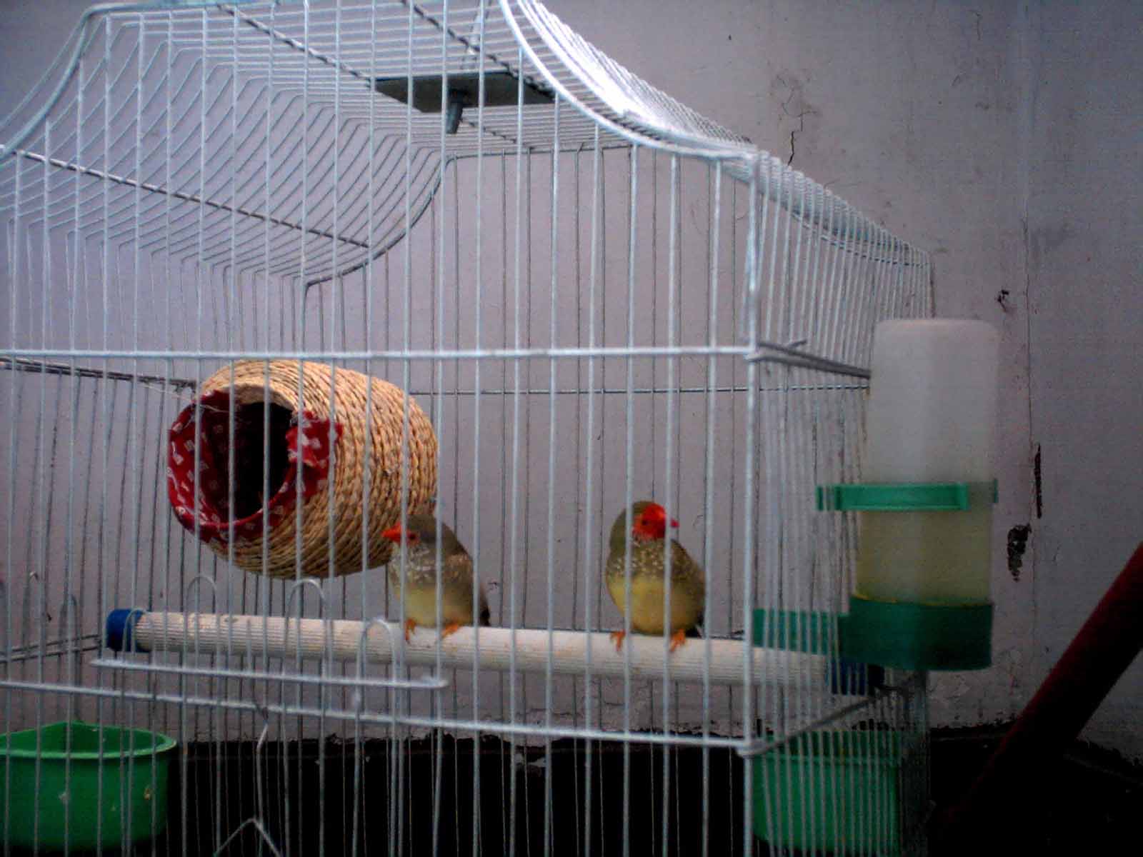 888_1097129850.jpg