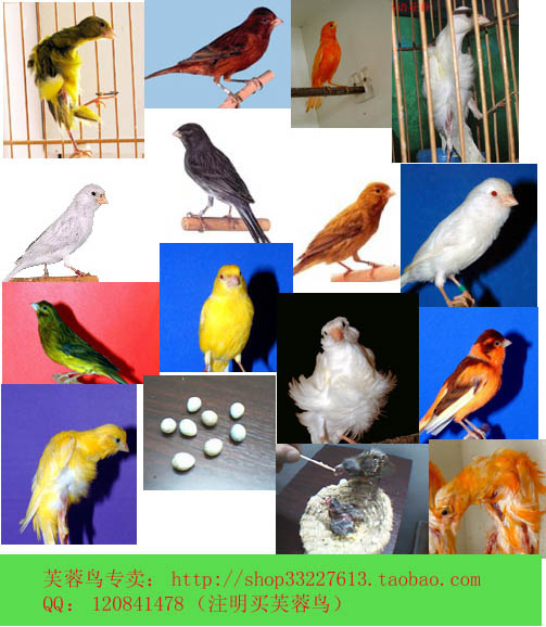 good20B8B1B1BE_1127125431.jpg
