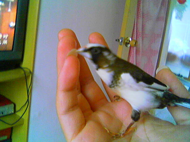 Cam000215_1120366189.jpg