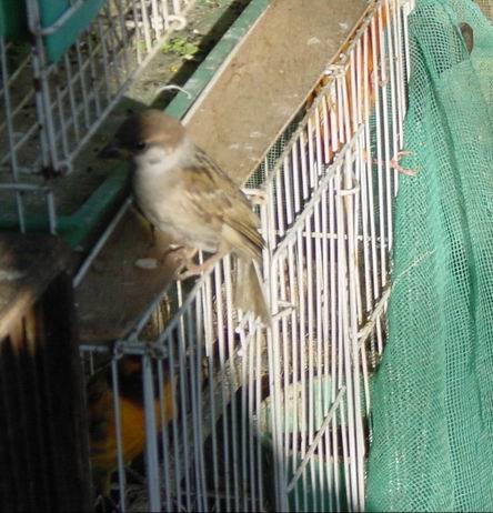15_1096542105.jpg