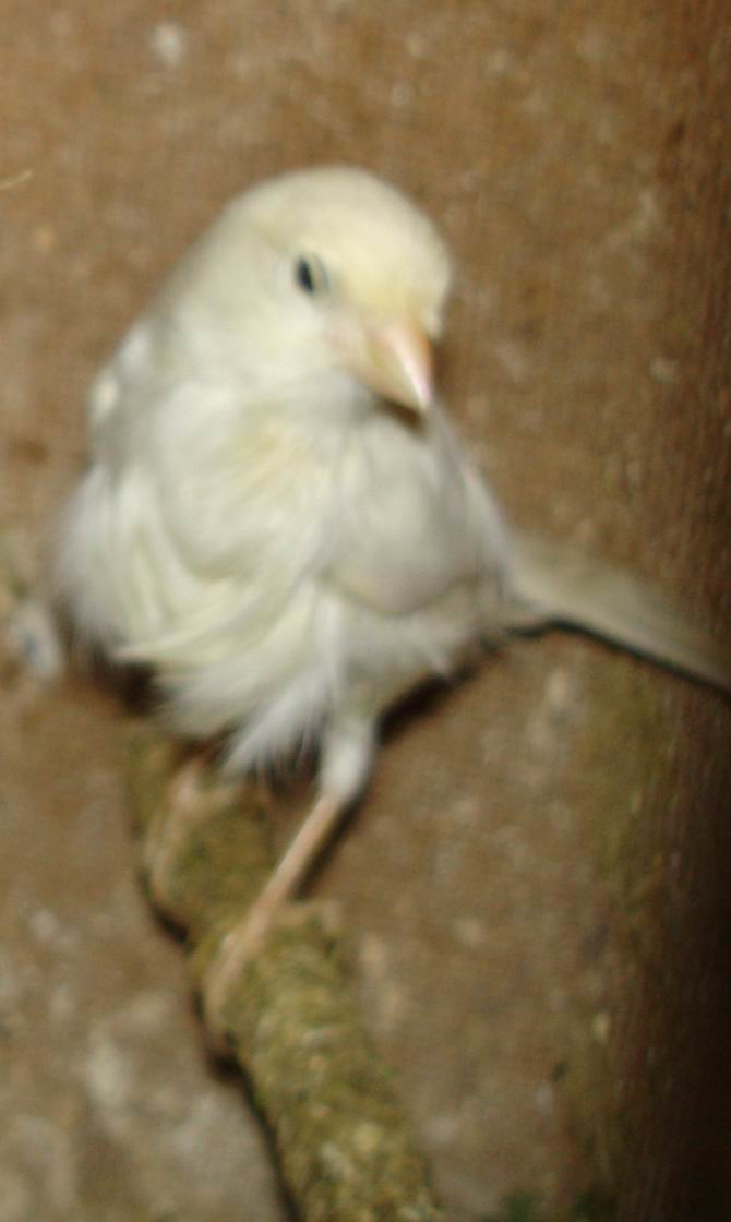 DSC01777_1119286883.jpg