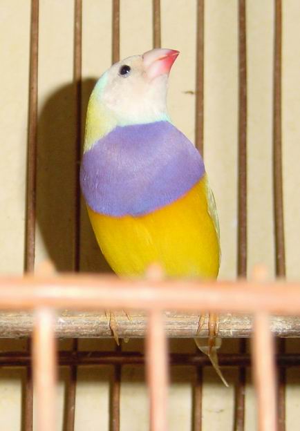 58_270_15.jpg