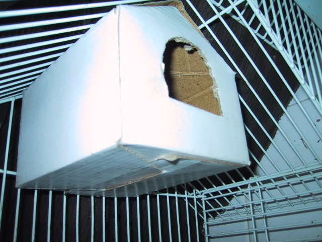 58_850_5.jpg