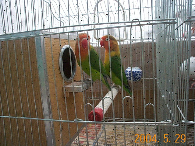58_901_10.jpg
