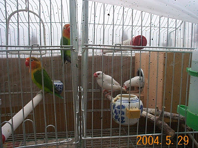 58_901_11.jpg
