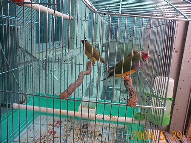 58_901_13.jpg
