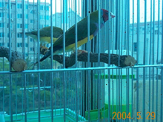 58_901_15.jpg