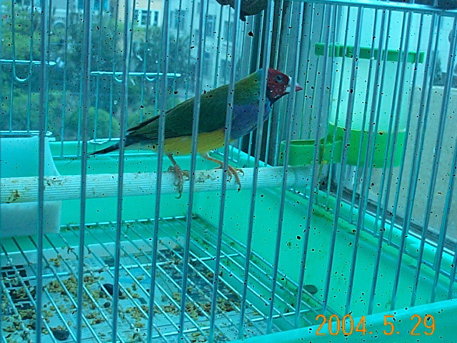 58_901_16.jpg