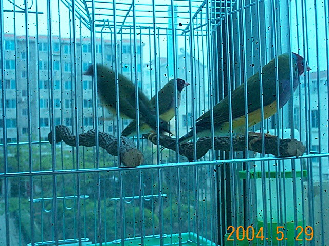58_901_2.jpg