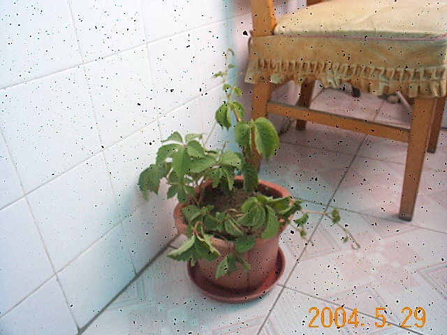 58_901_20.jpg