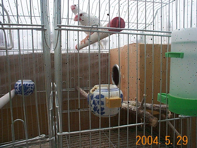 58_901_5.jpg