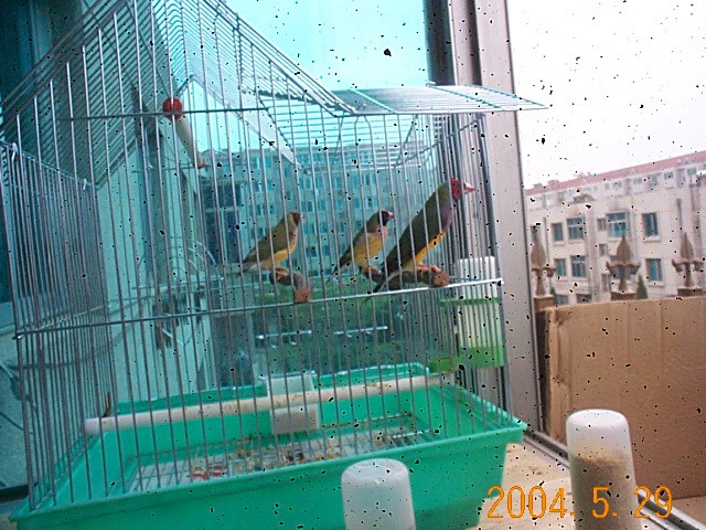 58_901_9.jpg