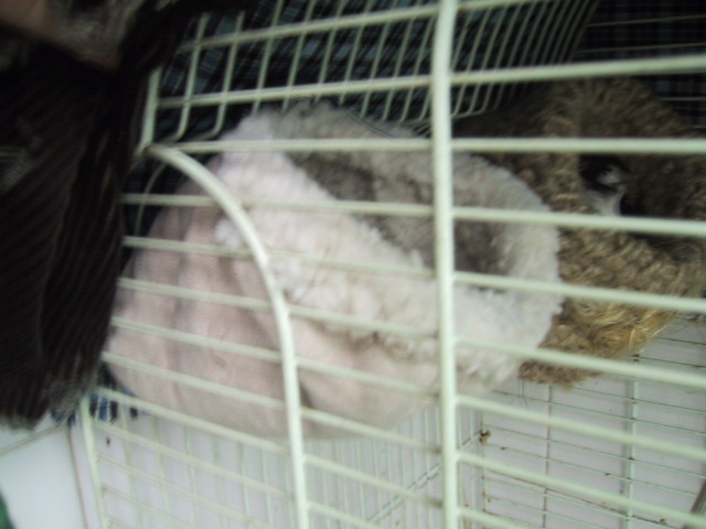 58_909_42.jpg