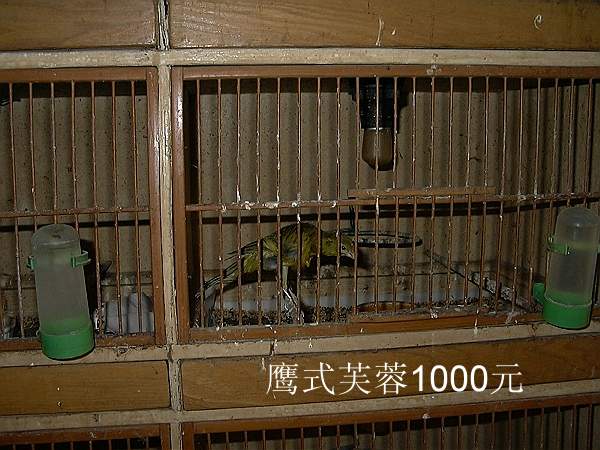 58_973_8.jpg