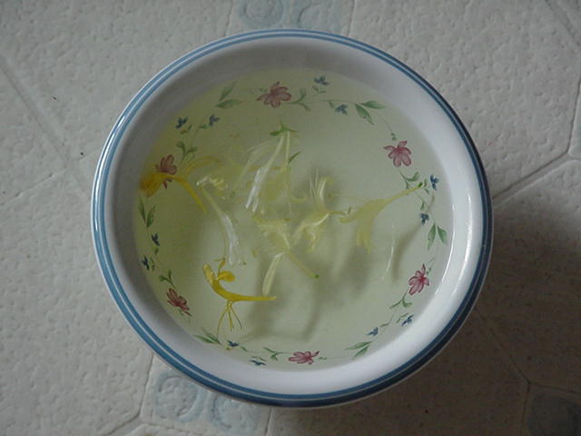 58_999_12.jpg