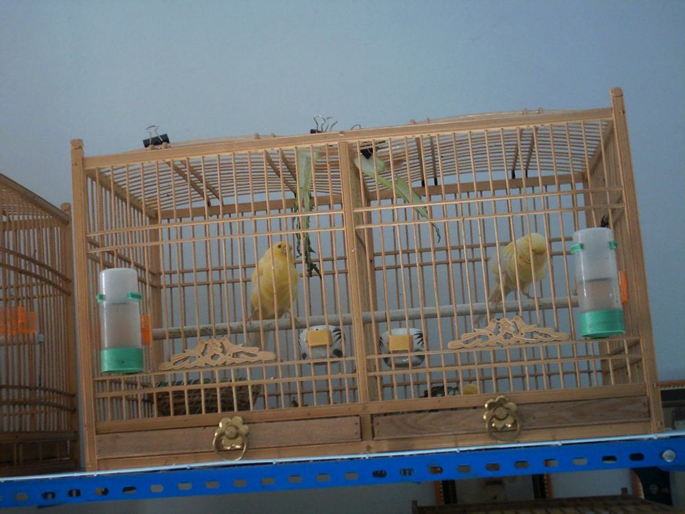 o001_1109962174.jpg