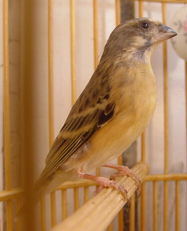 10_1127110027.jpg
