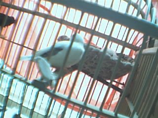 2222_1117099024.jpg